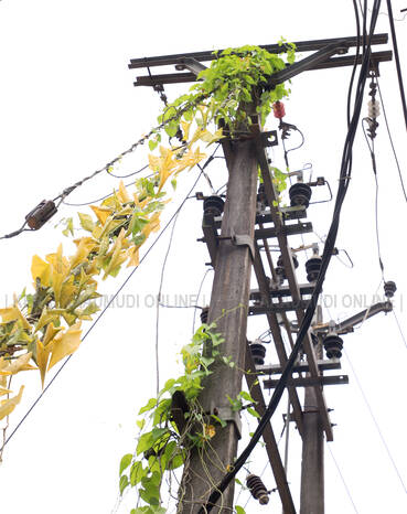 Kerala Kaumudi Photo Gallery