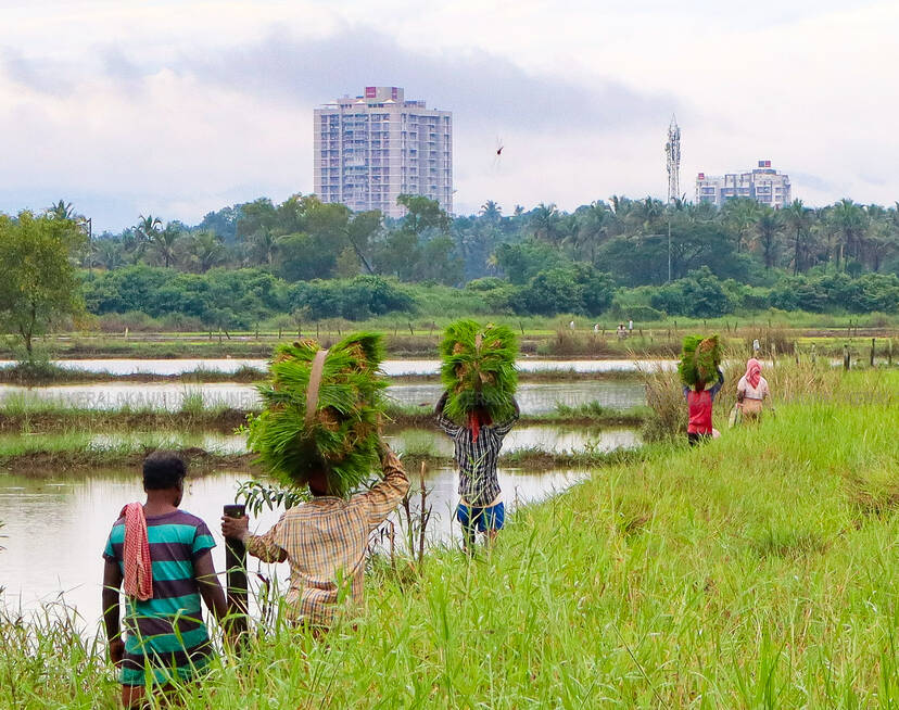 Kerala Kaumudi Photo Gallery