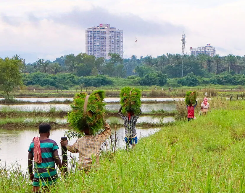 Kerala Kaumudi Photo Gallery