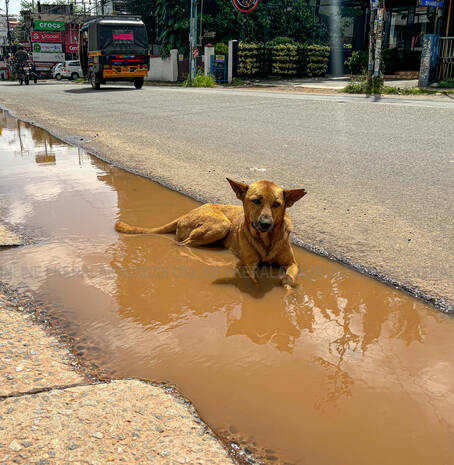 Kerala Kaumudi Photo Gallery