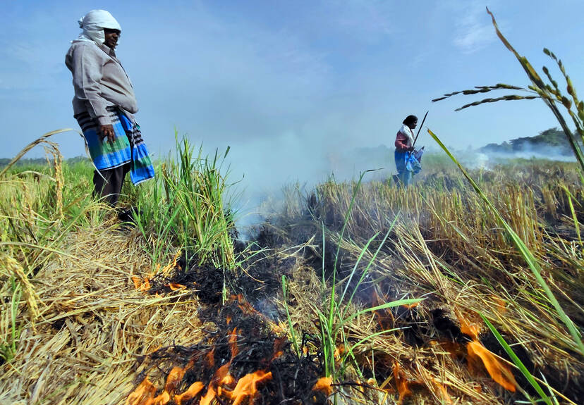 Kerala Kaumudi Photo Gallery