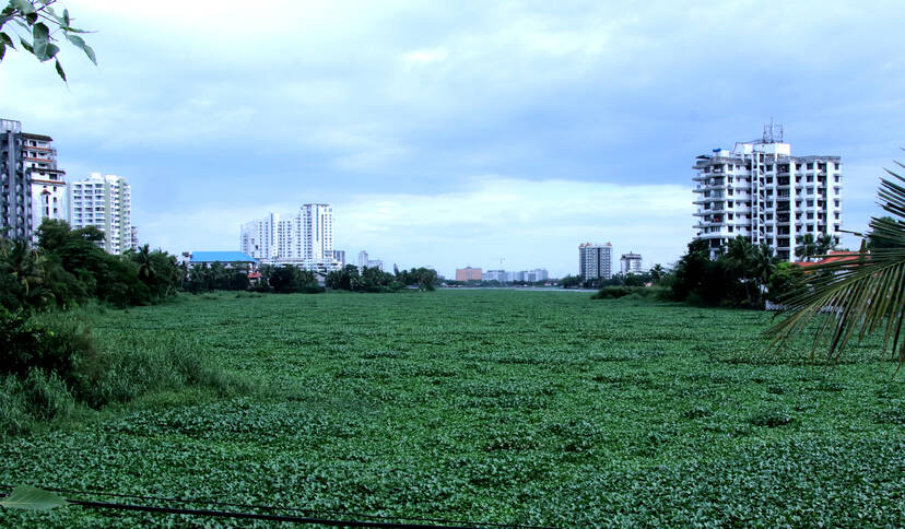 Kerala Kaumudi Photo Gallery