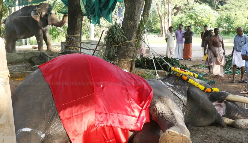 Kerala Kaumudi Photo Gallery