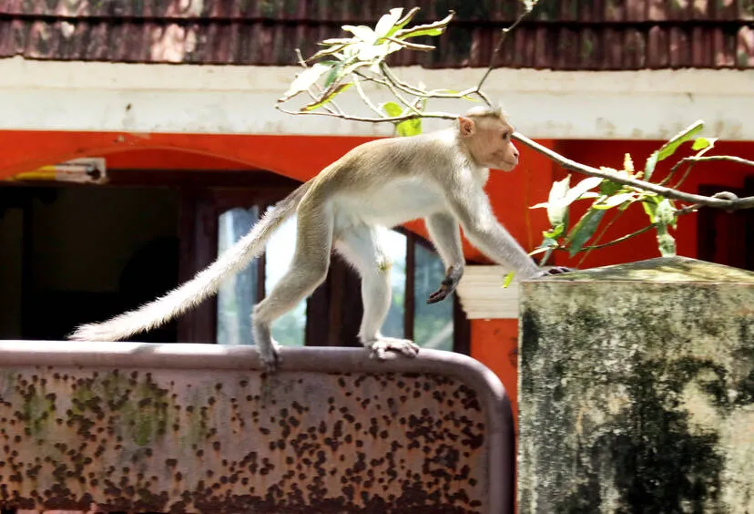 Kerala Kaumudi Photo Gallery