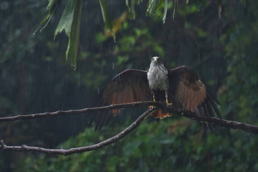Kerala Kaumudi Photo Gallery
