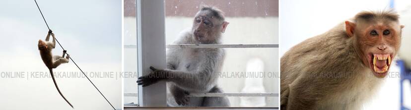 Kerala Kaumudi Photo Gallery
