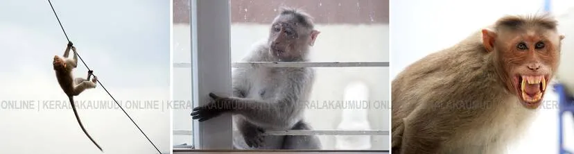 Kerala Kaumudi Photo Gallery