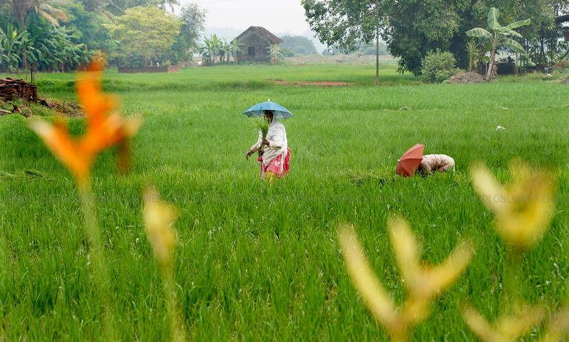 Kerala Kaumudi Photo Gallery