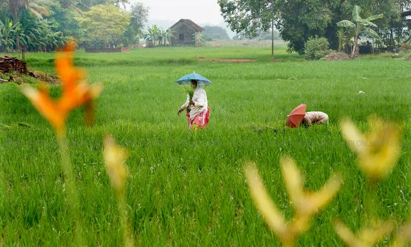 Kerala Kaumudi Photo Gallery