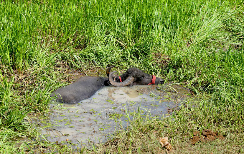Kerala Kaumudi Photo Gallery