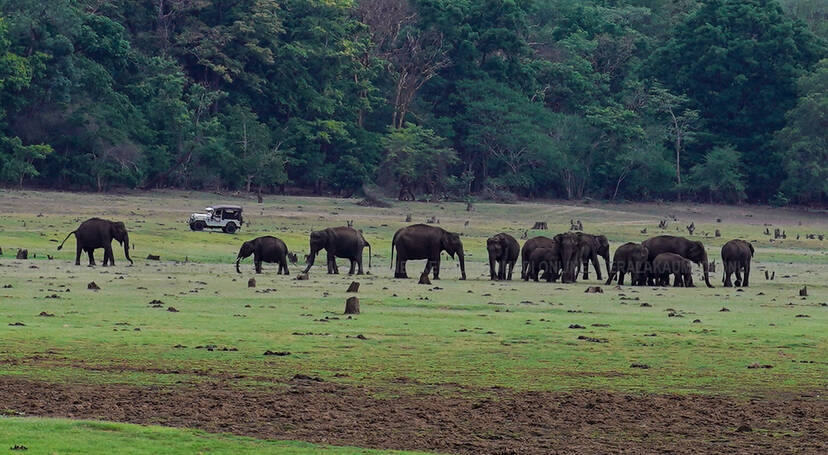 Kerala Kaumudi Photo Gallery