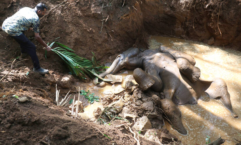 Kerala Kaumudi Photo Gallery