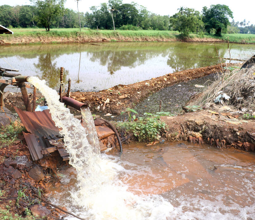 Kerala Kaumudi Photo Gallery
