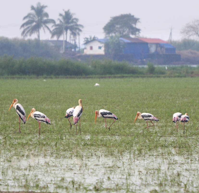 Kerala Kaumudi Photo Gallery