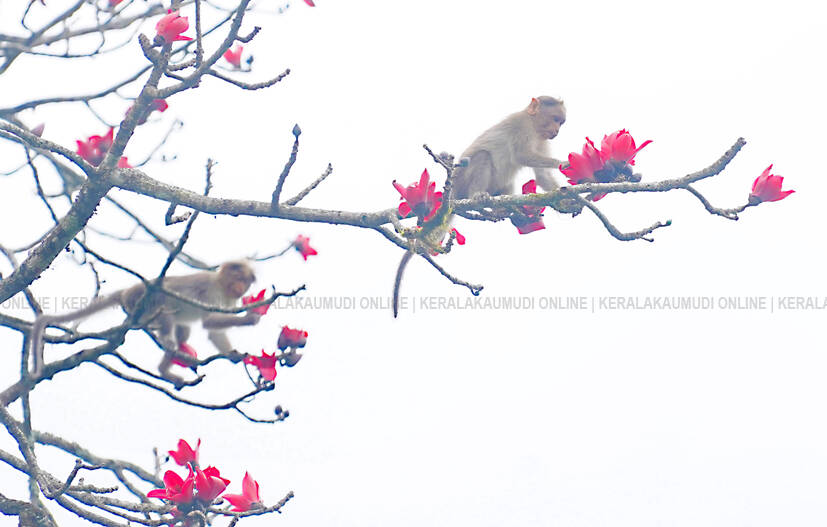 Kerala Kaumudi Photo Gallery