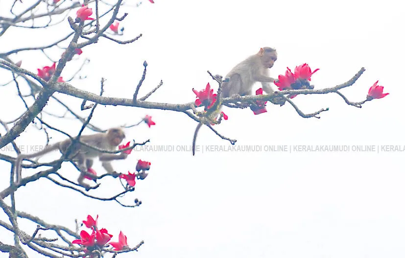 Kerala Kaumudi Photo Gallery