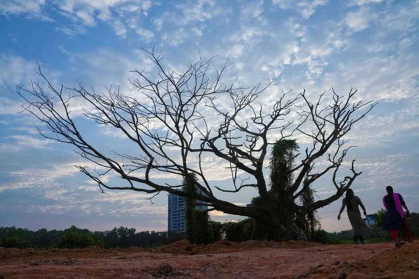 Kerala Kaumudi Photo Gallery