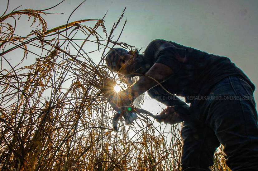 Kerala Kaumudi Photo Gallery