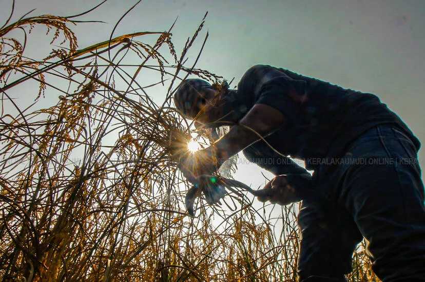Kerala Kaumudi Photo Gallery