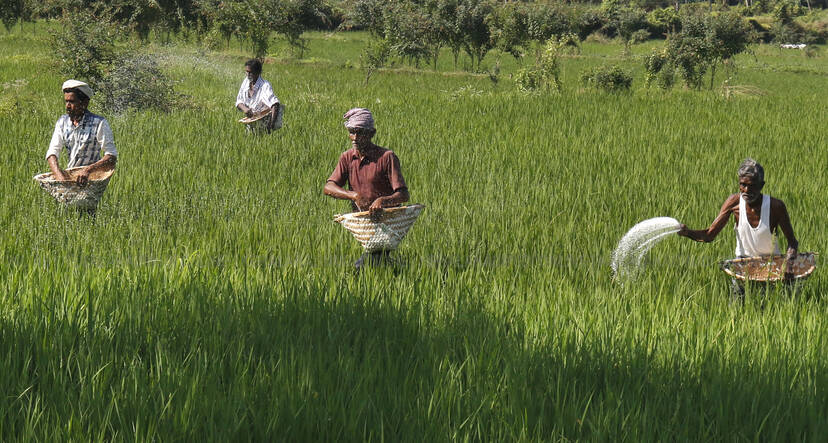 Kerala Kaumudi Photo Gallery