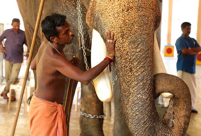 Kerala Kaumudi Photo Gallery