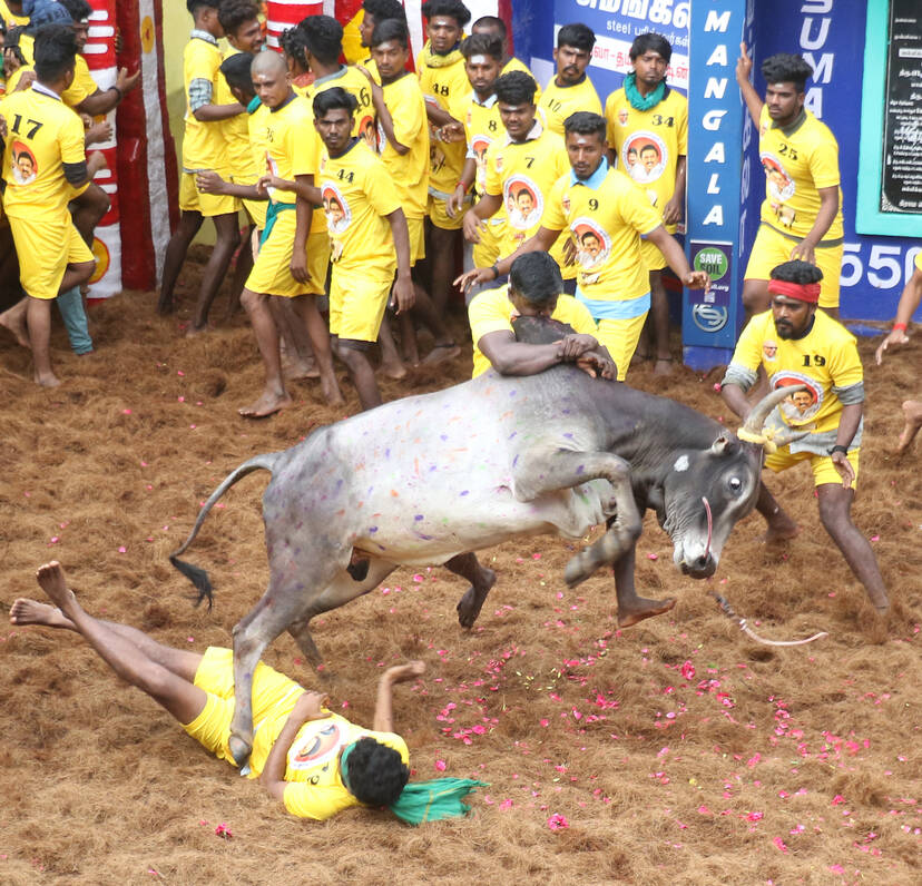 Kerala Kaumudi Photo Gallery