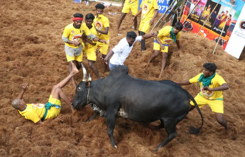 Kerala Kaumudi Photo Gallery