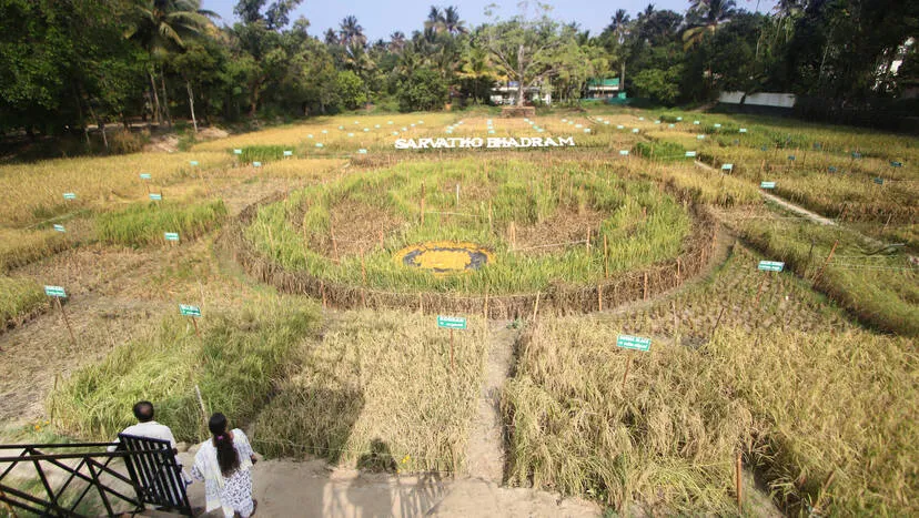 Kerala Kaumudi Photo Gallery