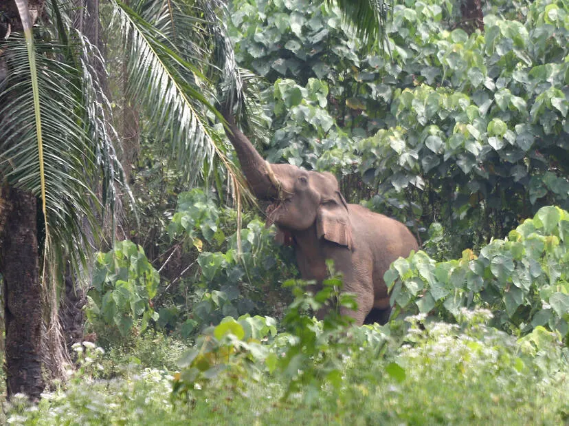 Kerala Kaumudi Photo Gallery