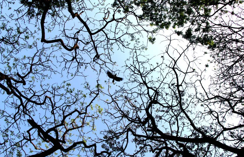Kerala Kaumudi Photo Gallery