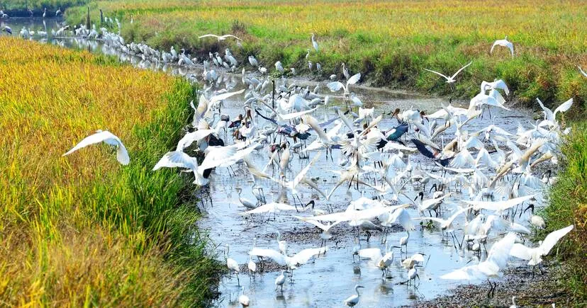 Kerala Kaumudi Photo Gallery
