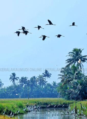 Kerala Kaumudi Photo Gallery