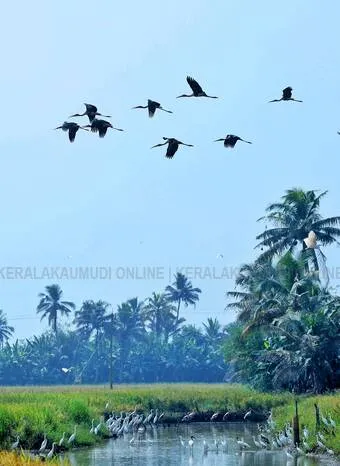 Kerala Kaumudi Photo Gallery