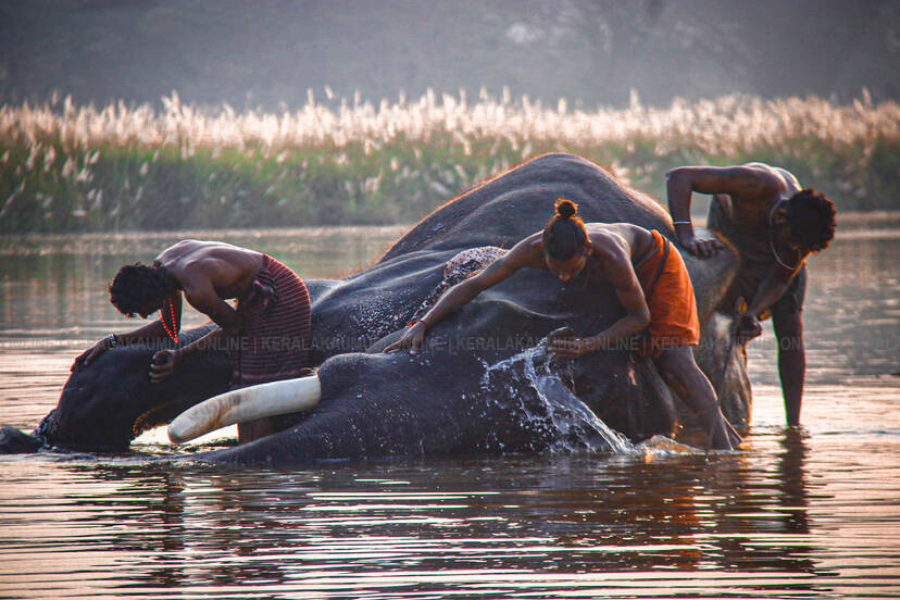 Kerala Kaumudi Photo Gallery
