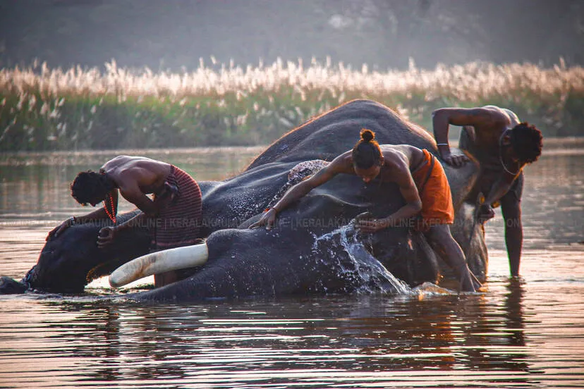 Kerala Kaumudi Photo Gallery