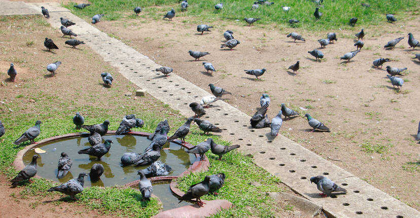 Kerala Kaumudi Photo Gallery