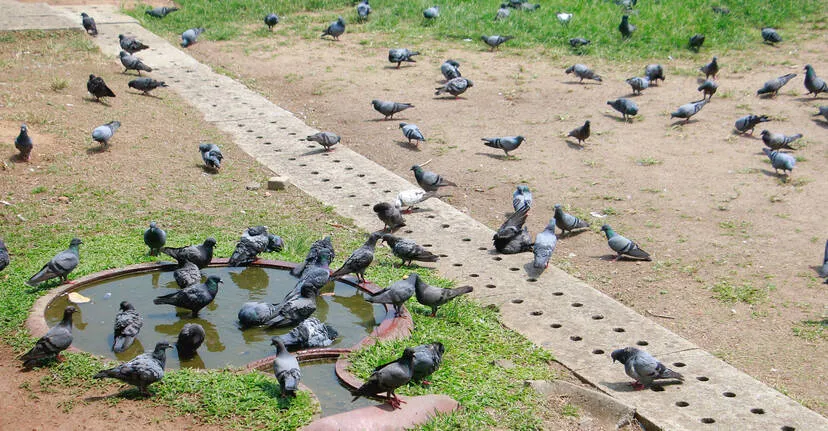 Kerala Kaumudi Photo Gallery