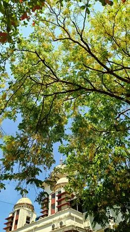 Kerala Kaumudi Photo Gallery