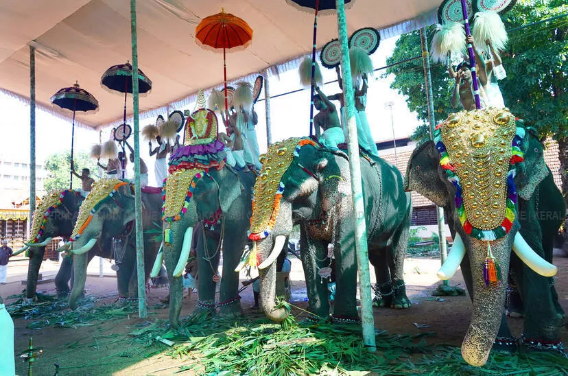 Kerala Kaumudi Photo Gallery