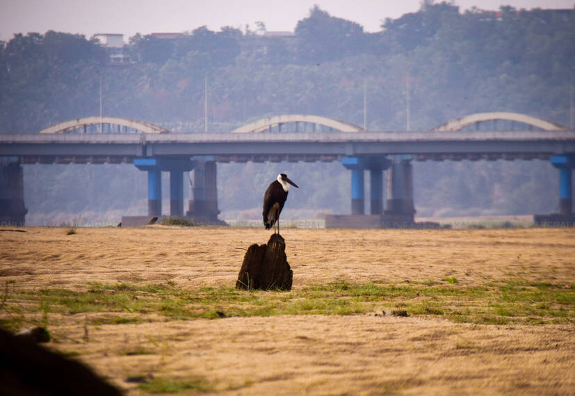 Kerala Kaumudi Photo Gallery