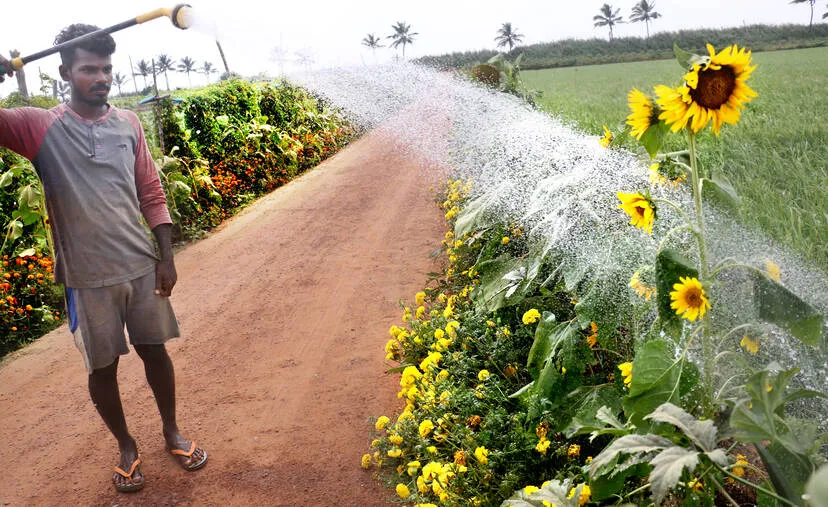 Kerala Kaumudi Photo Gallery