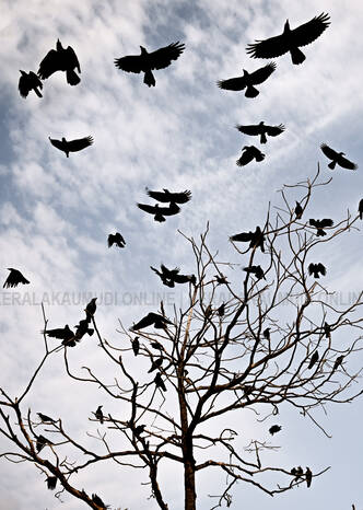 Kerala Kaumudi Photo Gallery