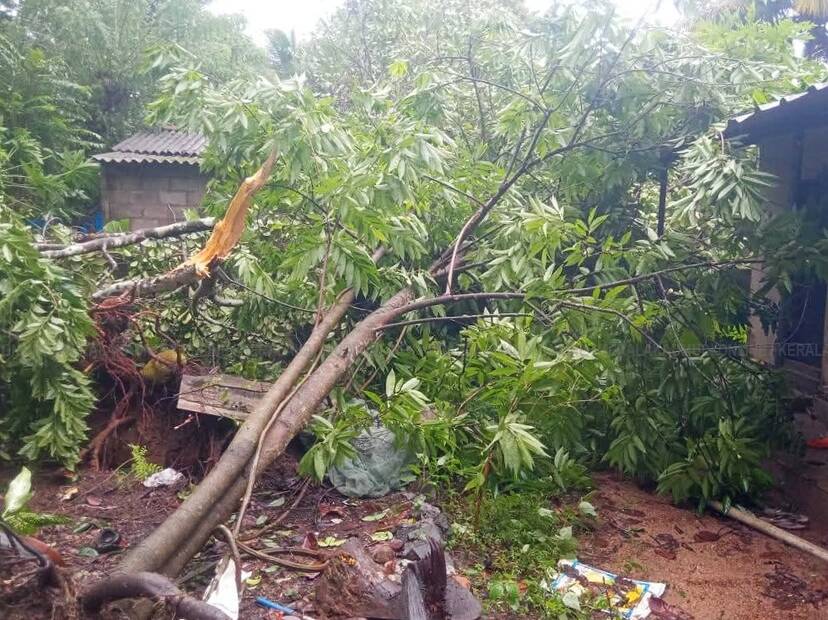 Kerala Kaumudi Photo Gallery