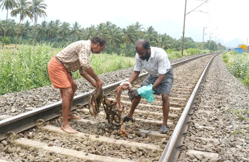 Kerala Kaumudi Photo Gallery