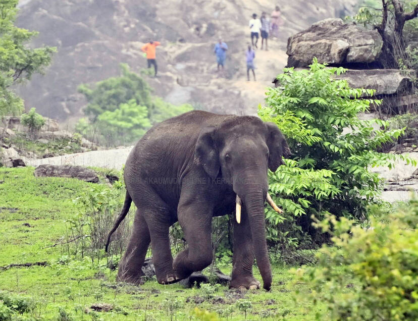Kerala Kaumudi Photo Gallery