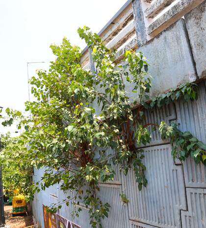 Kerala Kaumudi Photo Gallery