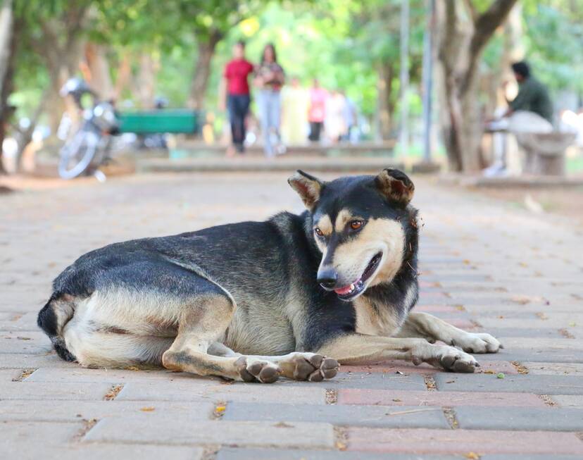 Kerala Kaumudi Photo Gallery