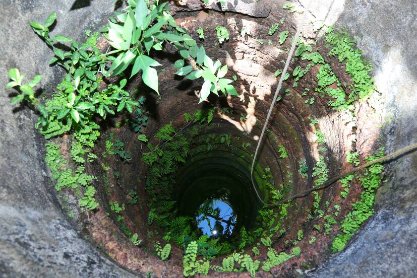 Kerala Kaumudi Photo Gallery