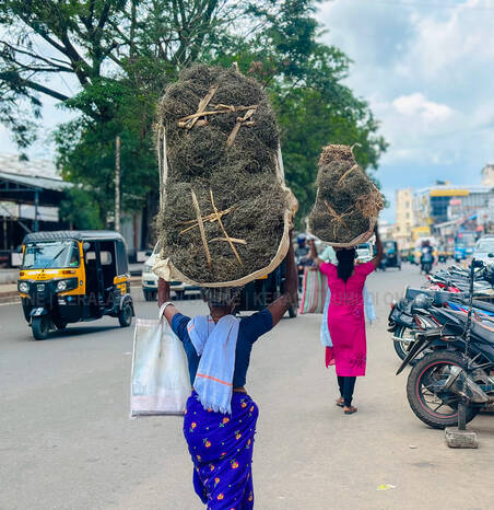 Kerala Kaumudi Photo Gallery