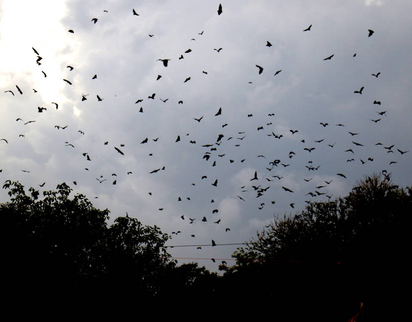 Kerala Kaumudi Photo Gallery